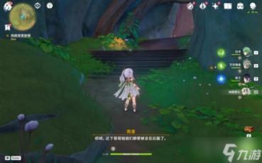 春雨直播app