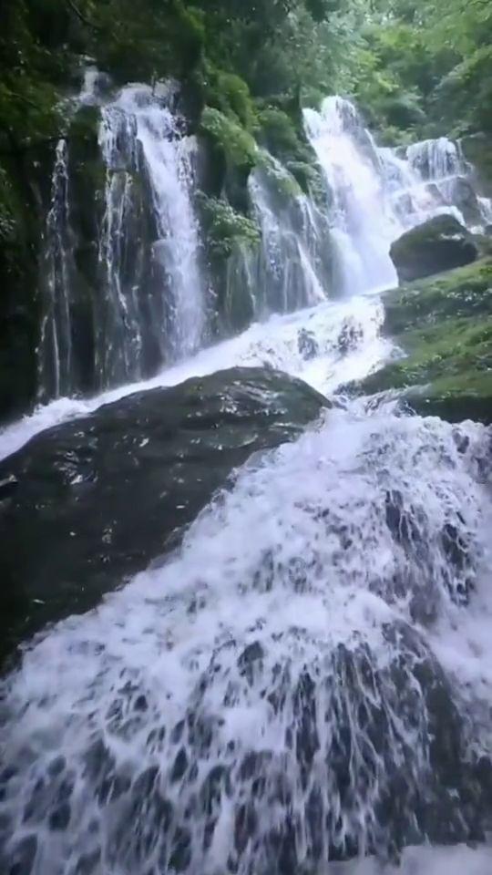 两会好声音｜马丽娅委员：优化调整乡村小规模学校，让每一个孩子都享受优质教育