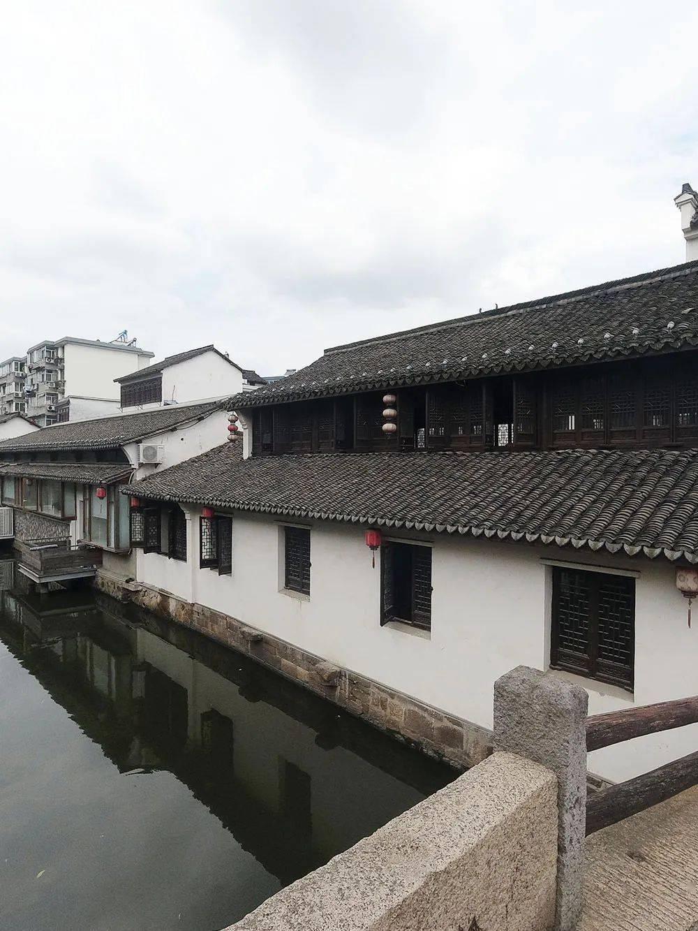 救援淘气的小狗